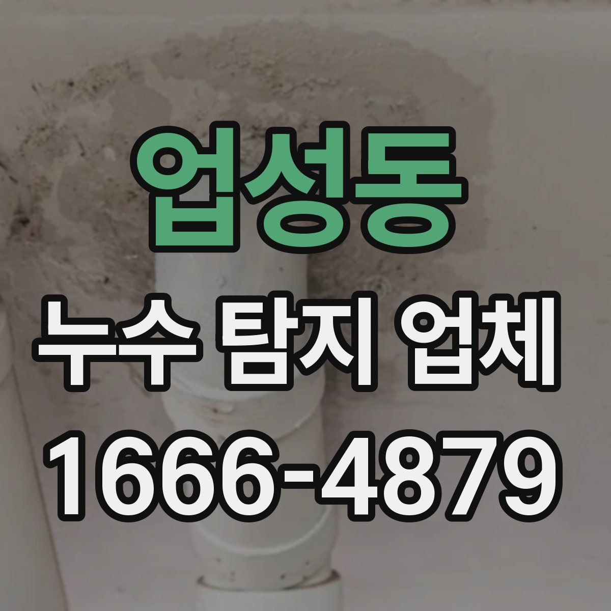 업성동 누수 탐지 업체