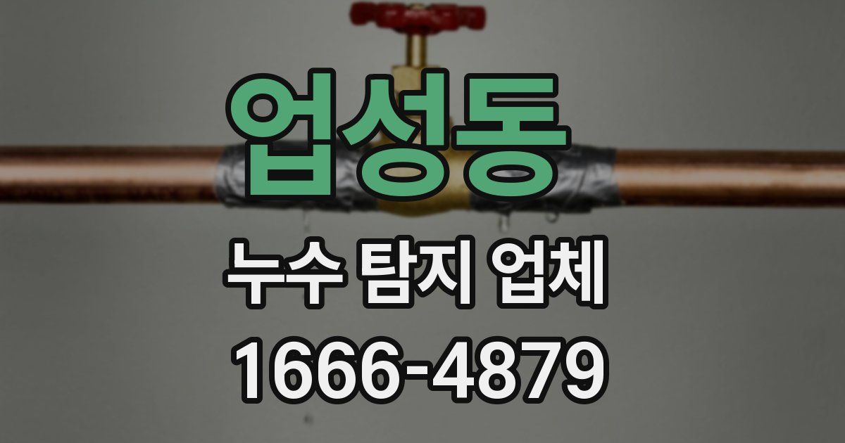 업성동 누수 탐지 업체