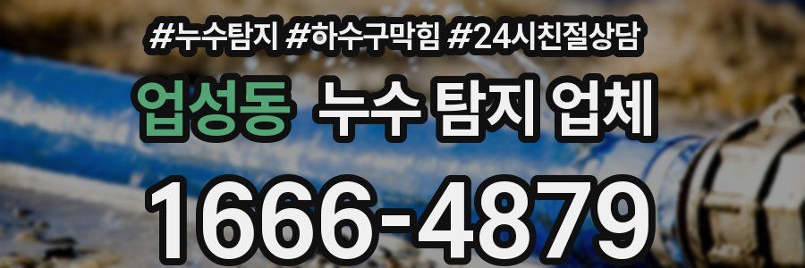 업성동 누수 탐지 업체