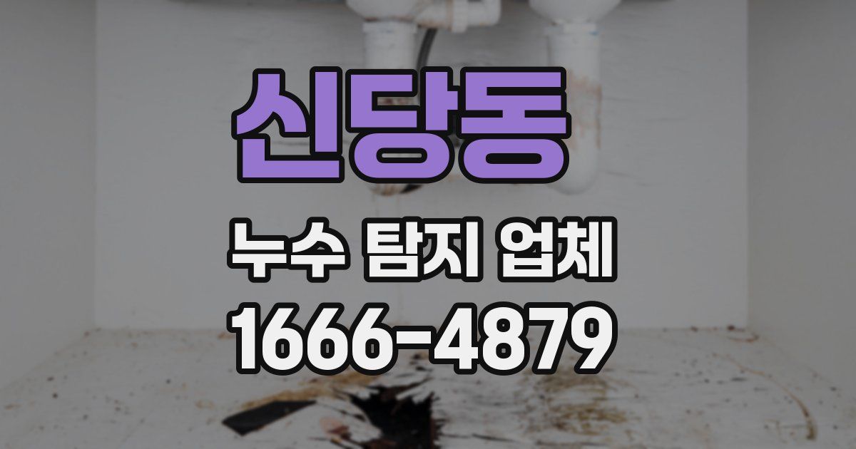 신당동 누수 탐지 업체