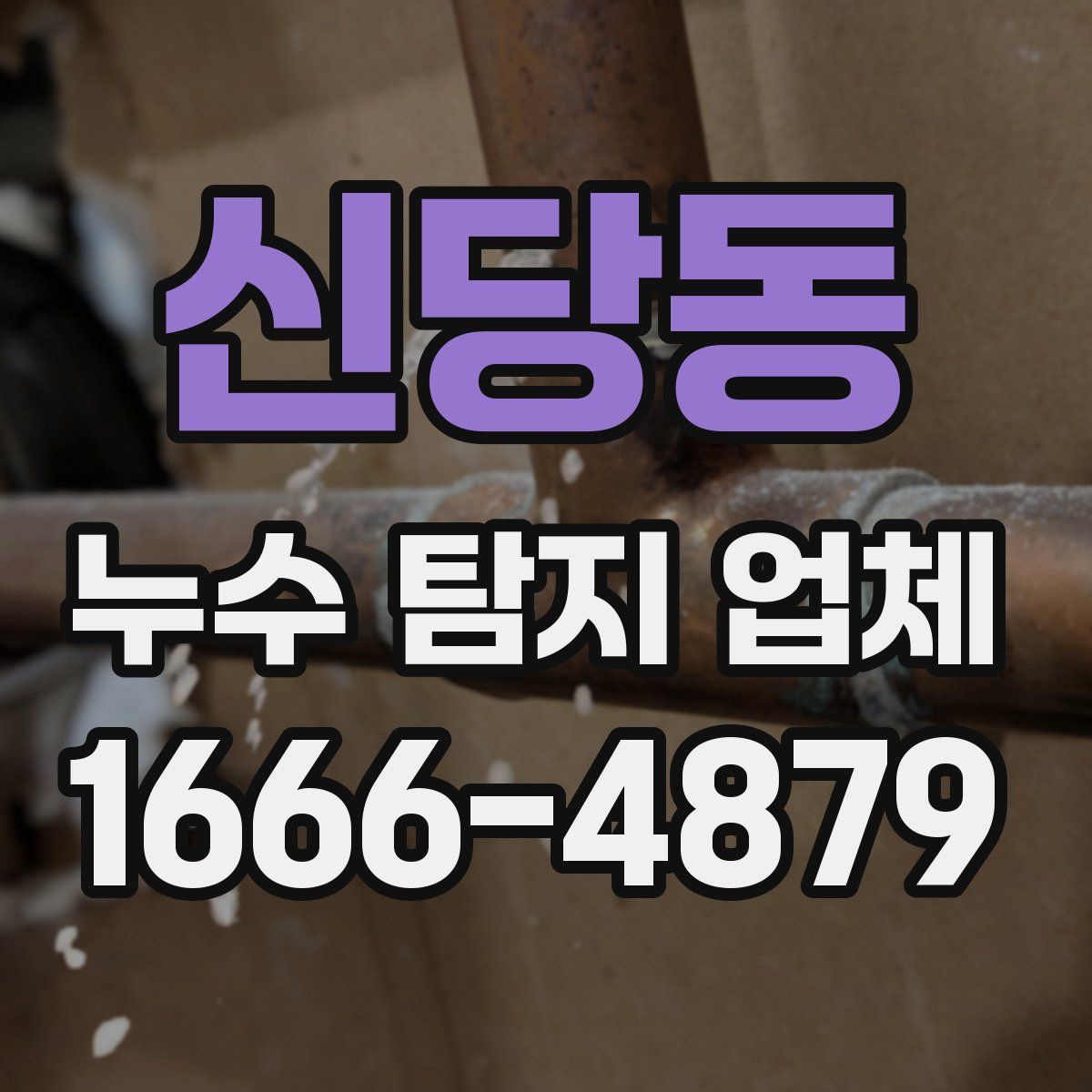 신당동 누수 탐지 업체