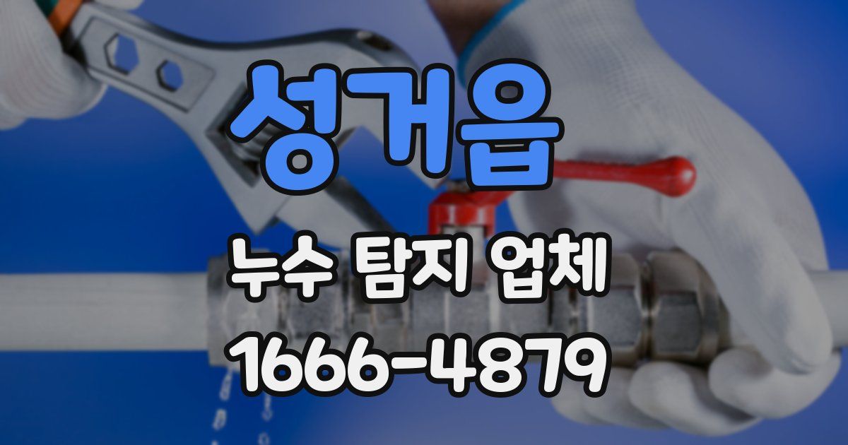성거읍 누수 탐지 업체