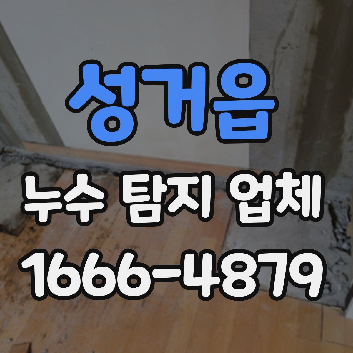 성거읍 누수 탐지 업체