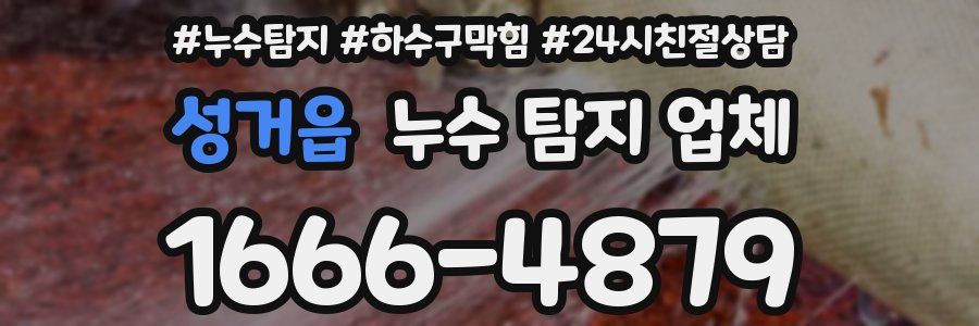 성거읍 누수 탐지 업체
