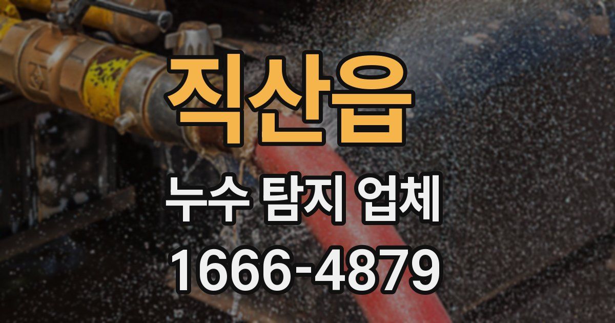 직산읍 누수 탐지 업체