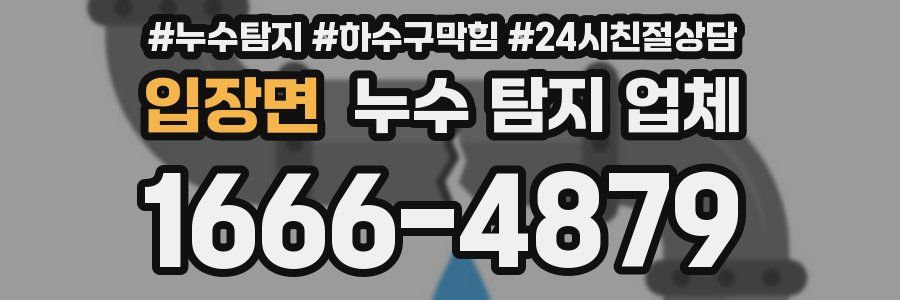 입장면 누수 탐지 업체