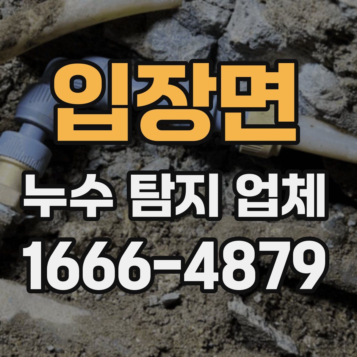 입장면 누수 탐지 업체