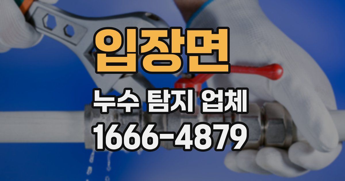 입장면 누수 탐지 업체