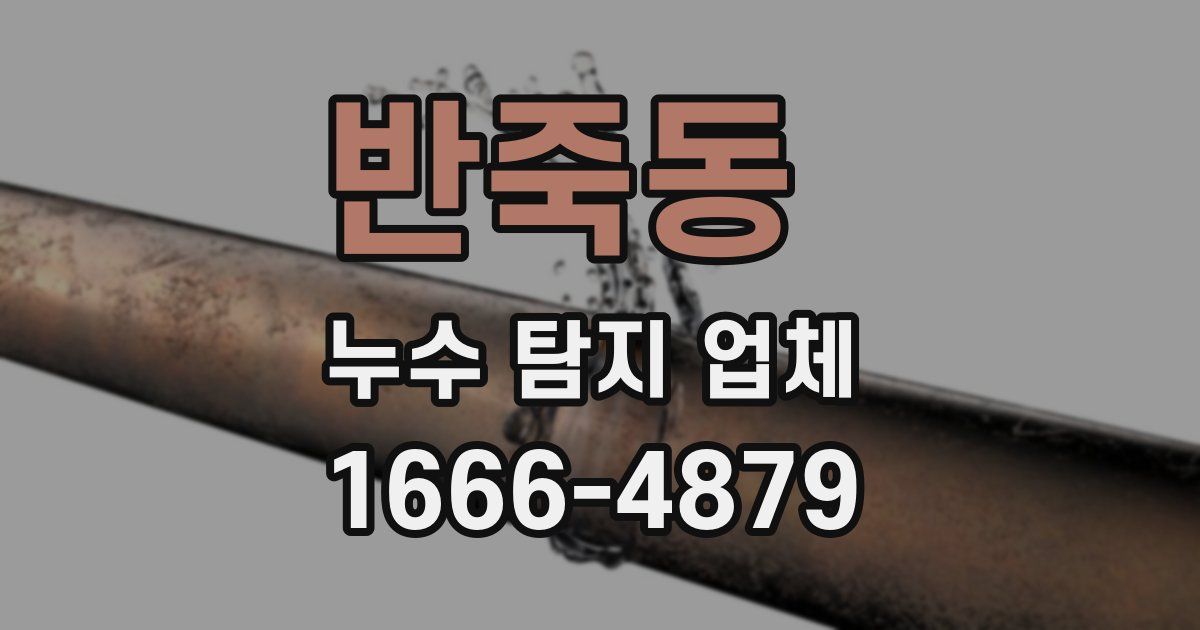 반죽동 누수 탐지 업체