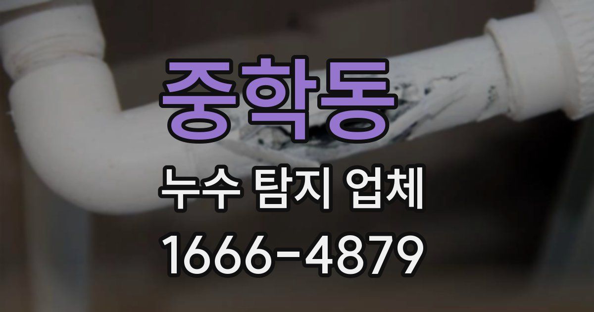 중학동 누수 탐지 업체