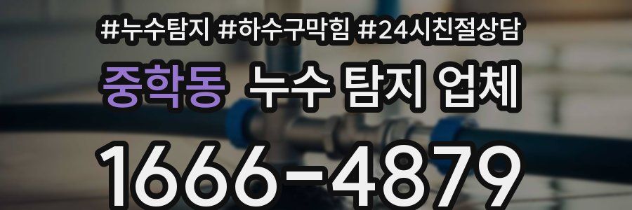 중학동 누수 탐지 업체