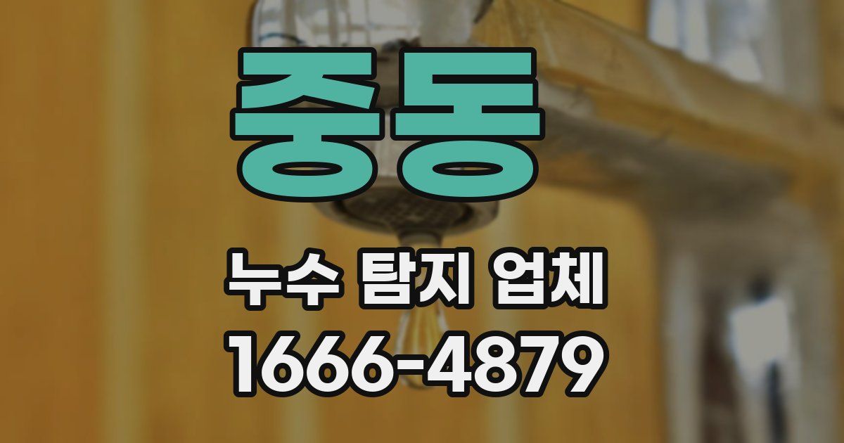 중동 누수 탐지 업체