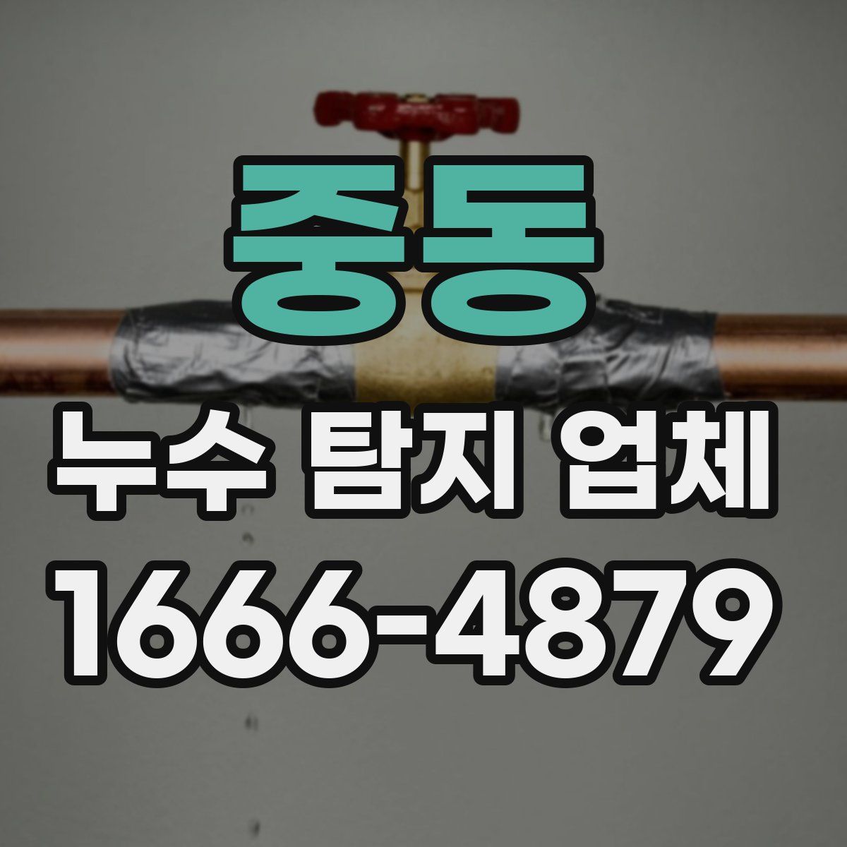 중동 누수 탐지 업체