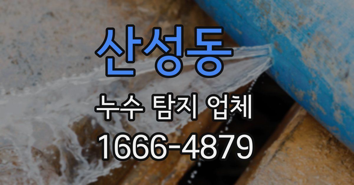 산성동 누수 탐지 업체
