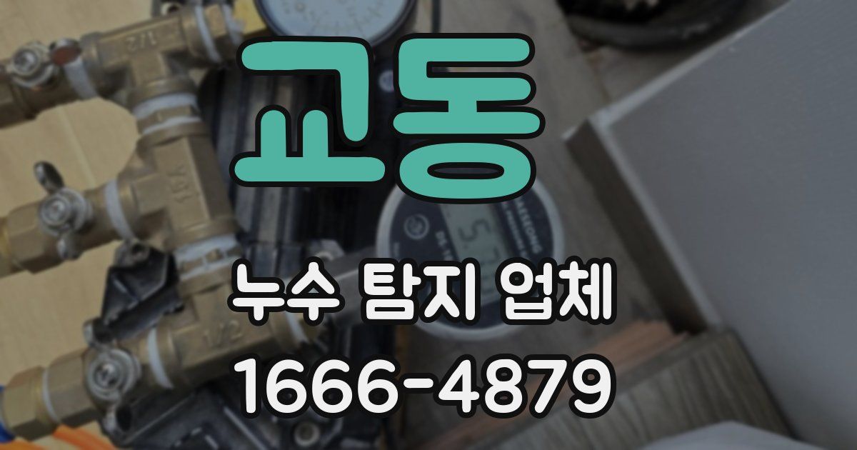 교동 누수 탐지 업체