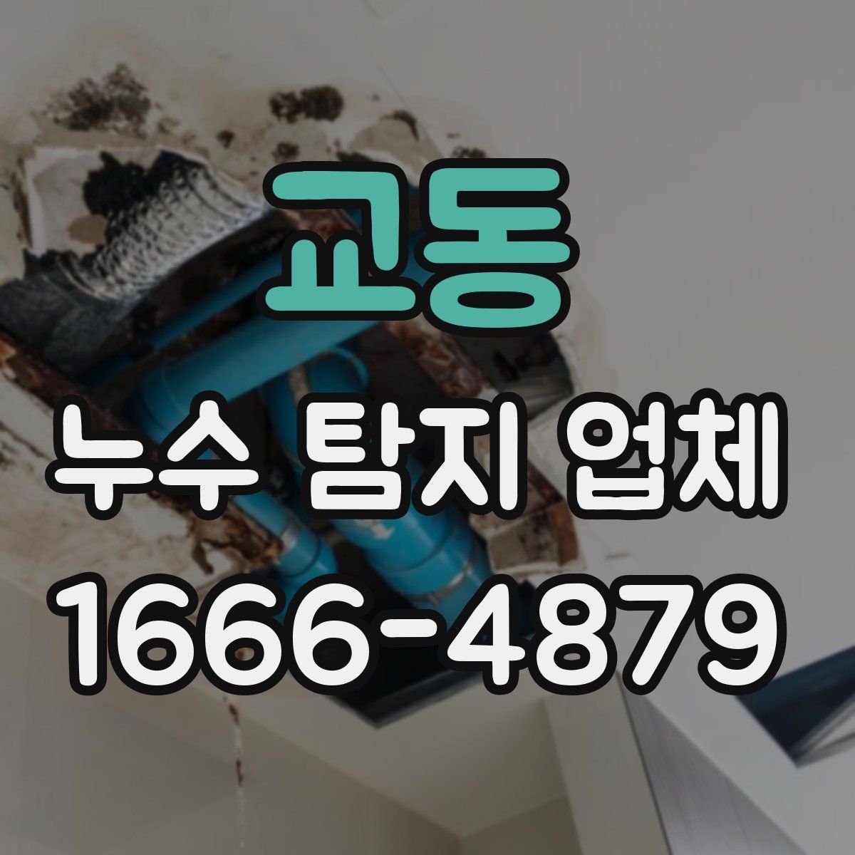 교동 누수 탐지 업체