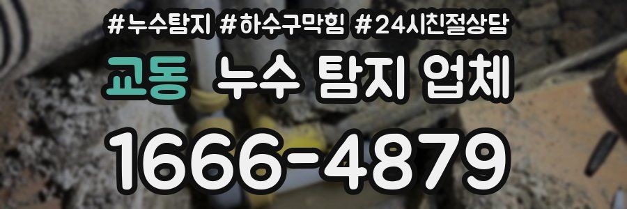 교동 누수 탐지 업체