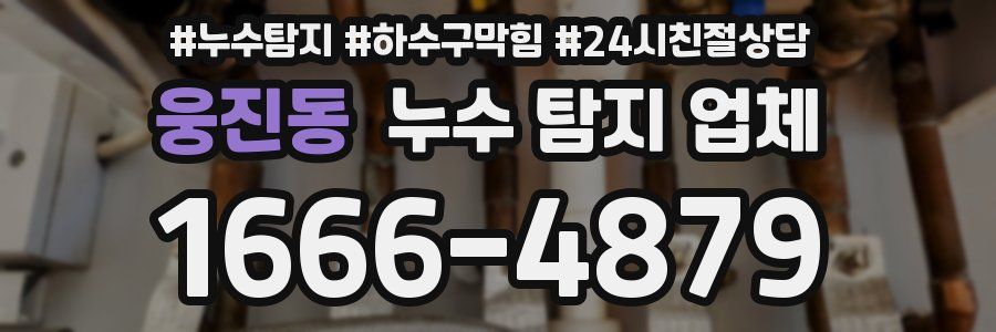 웅진동 누수 탐지 업체