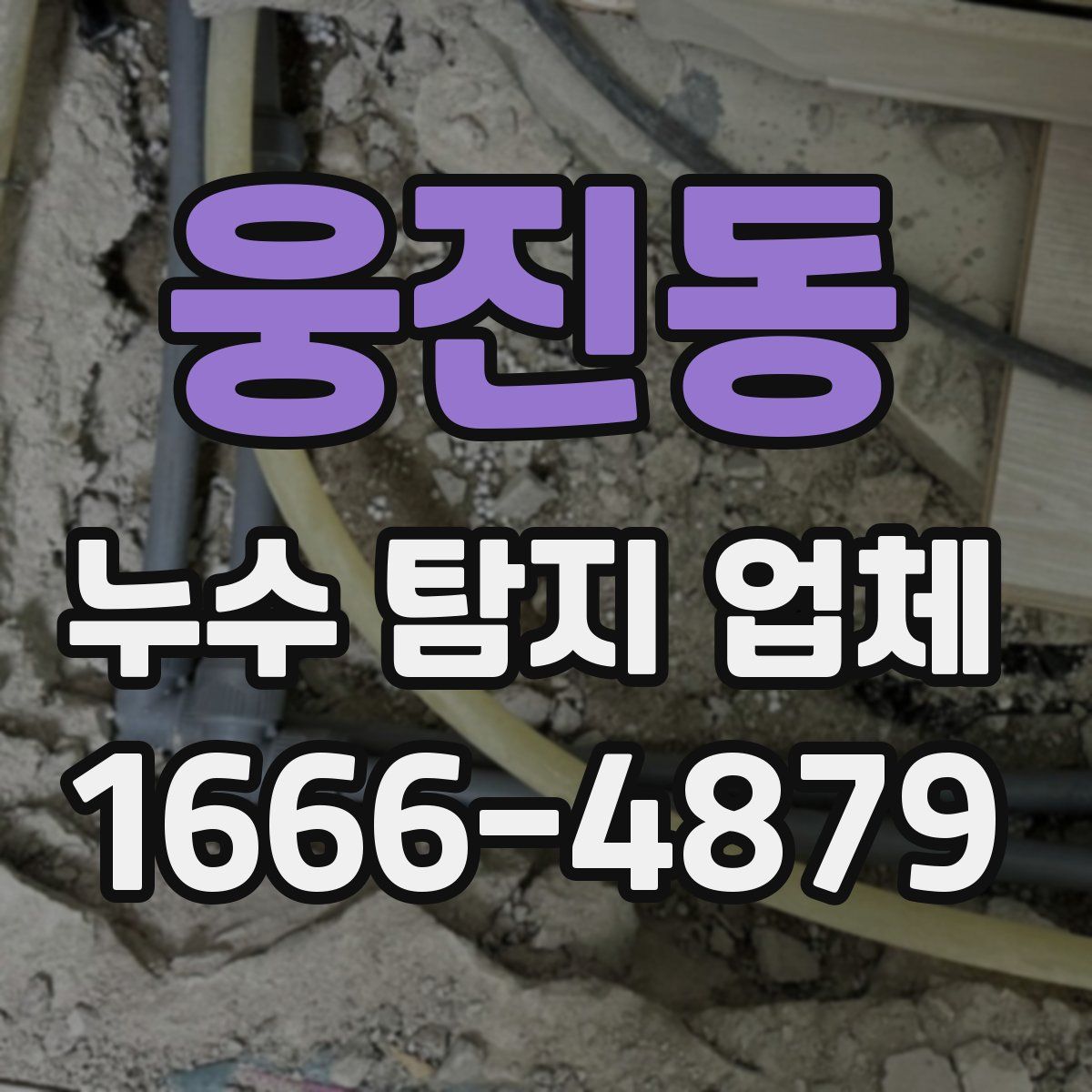 웅진동 누수 탐지 업체