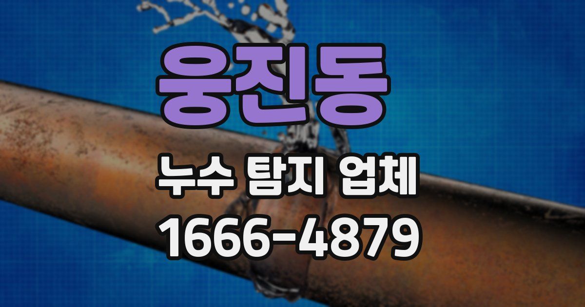 웅진동 누수 탐지 업체