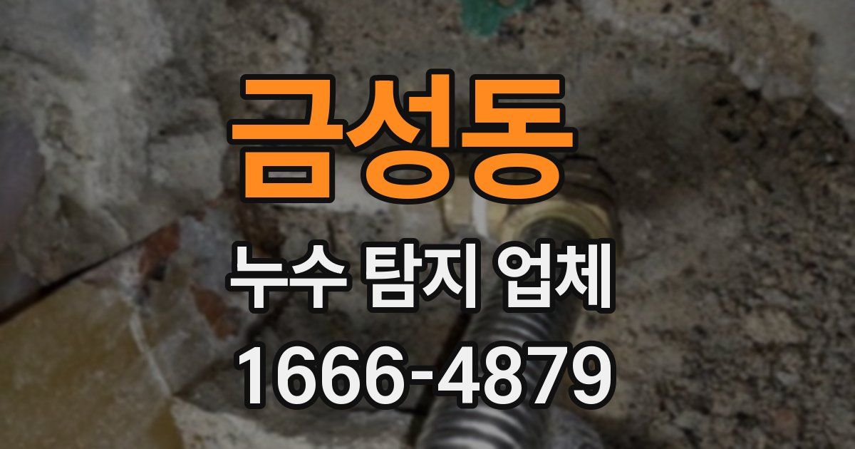 금성동 누수 탐지 업체