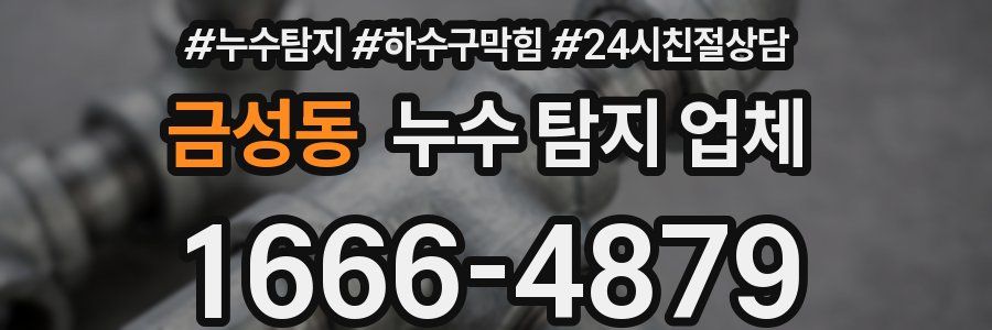 금성동 누수 탐지 업체