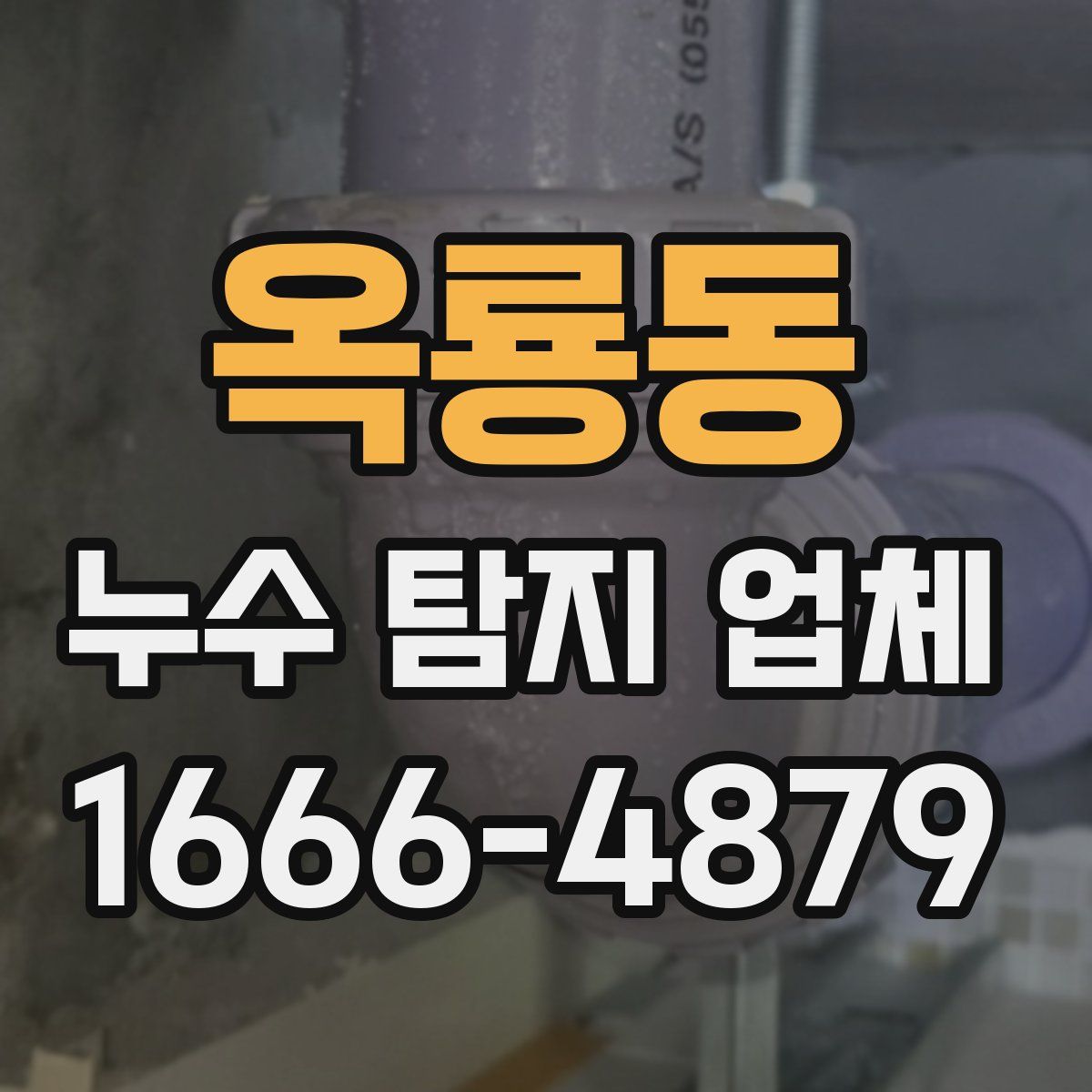 옥룡동 누수 탐지 업체