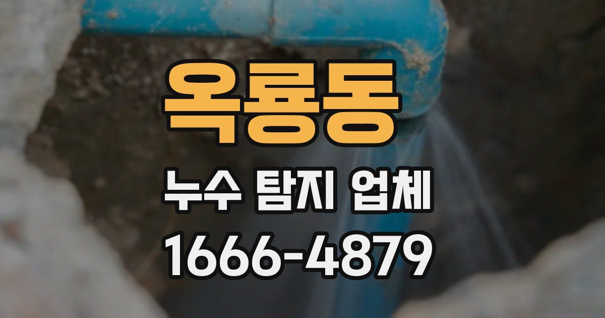 옥룡동 누수 탐지 업체