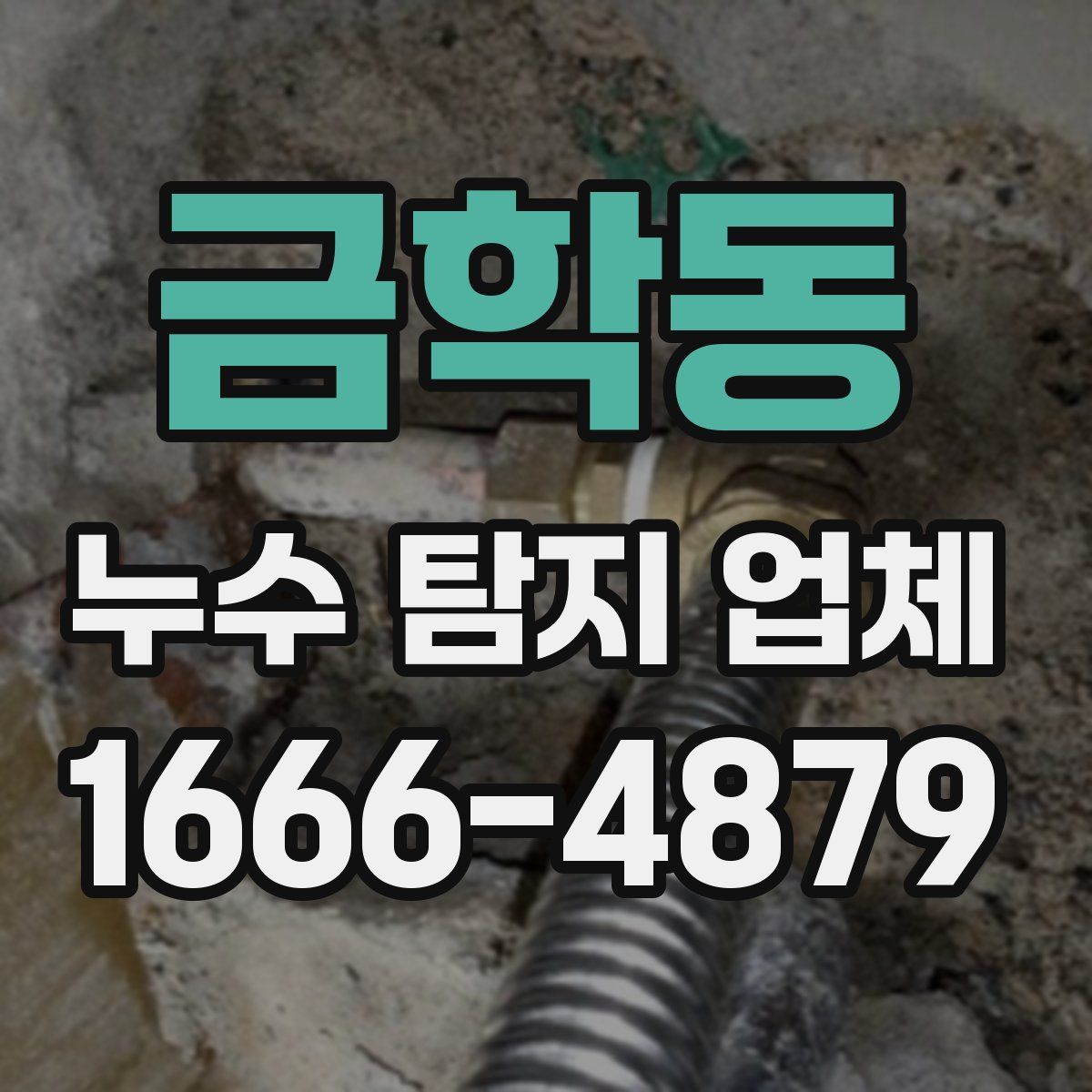 금학동 누수 탐지 업체