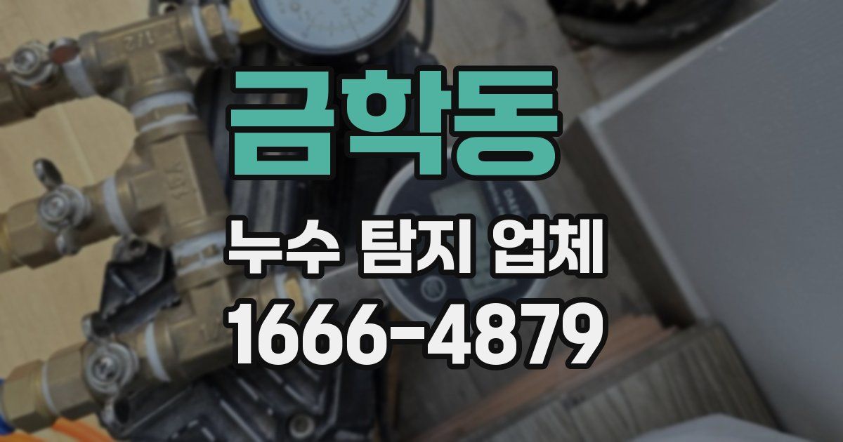 금학동 누수 탐지 업체