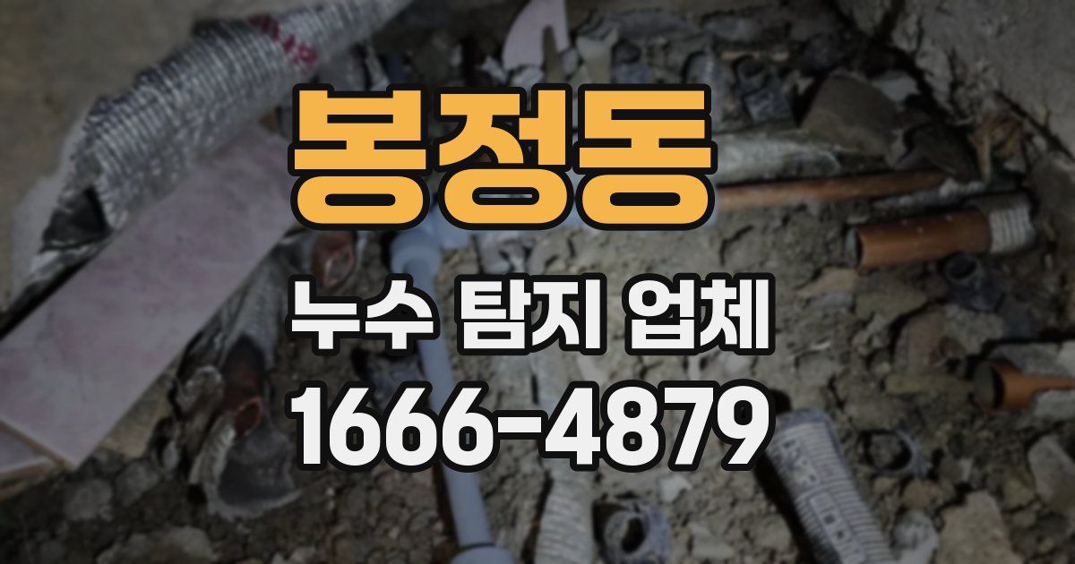 봉정동 누수 탐지 업체
