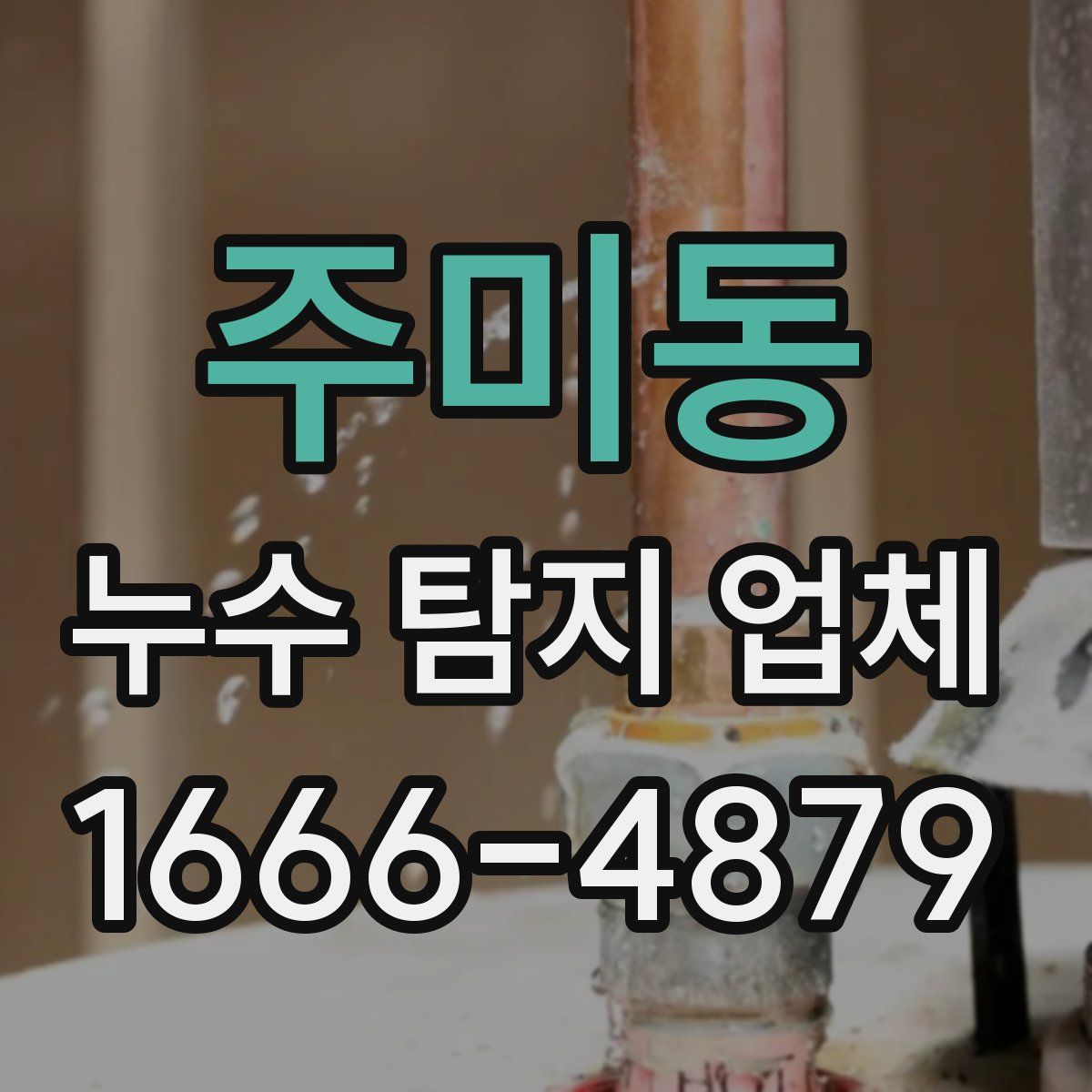 주미동 누수 탐지 업체