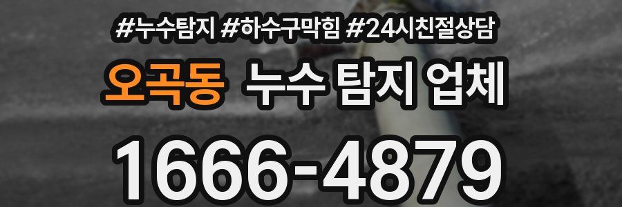 오곡동 누수 탐지 업체