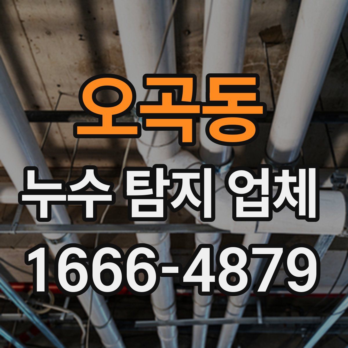 오곡동 누수 탐지 업체