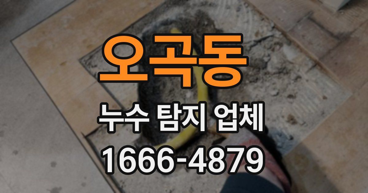 오곡동 누수 탐지 업체