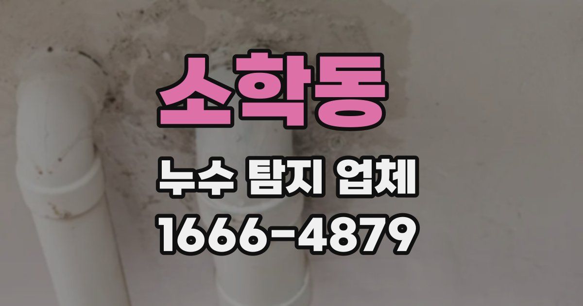 소학동 누수 탐지 업체