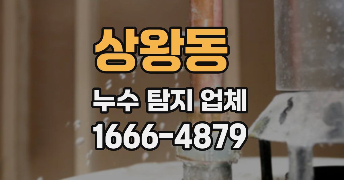 상왕동 누수 탐지 업체