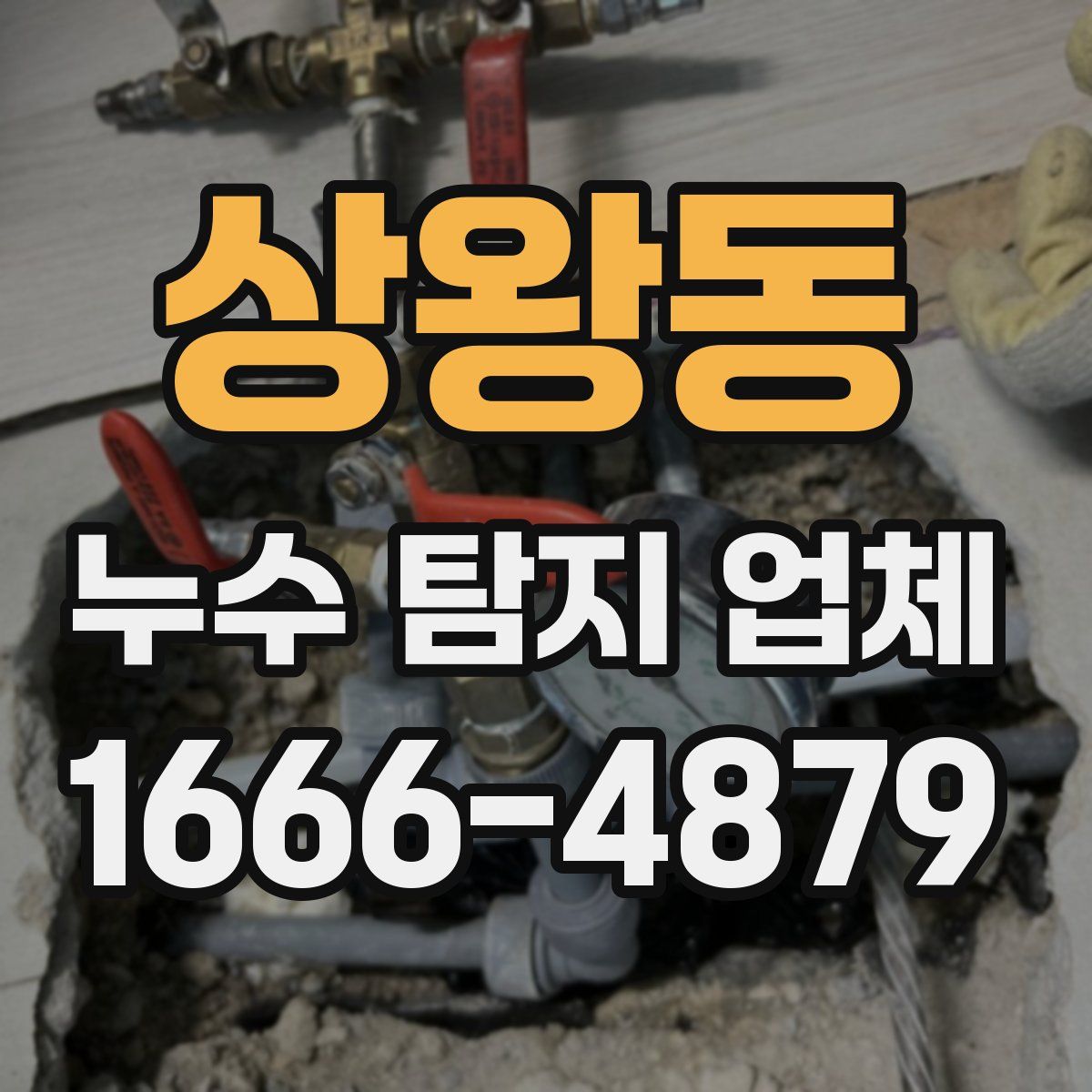 상왕동 누수 탐지 업체