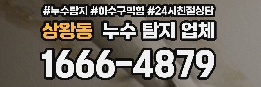 상왕동 누수 탐지 업체