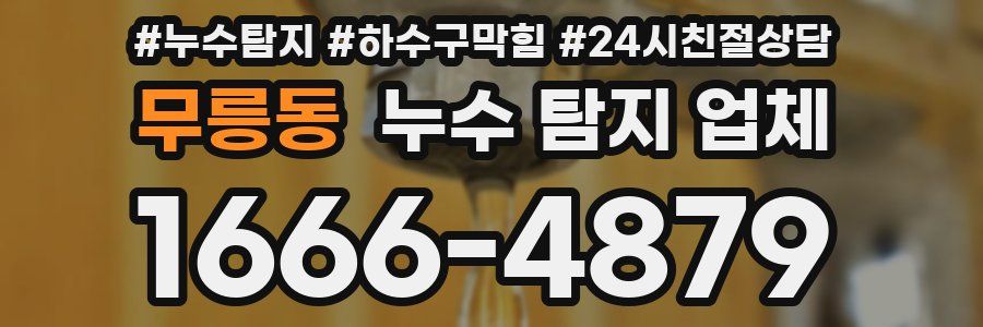 무릉동 누수 탐지 업체