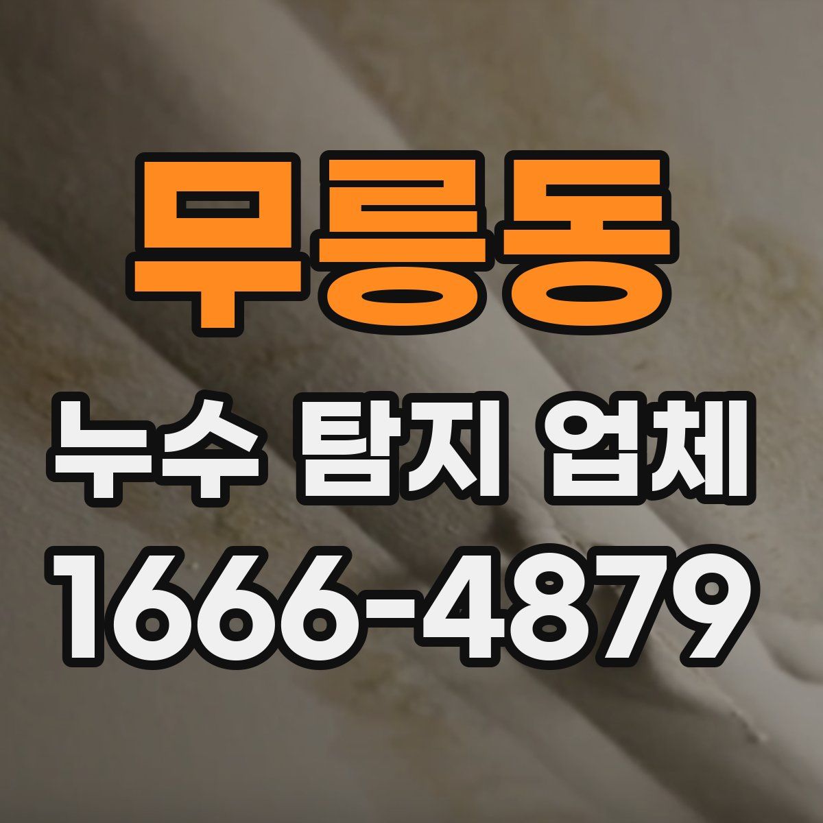 무릉동 누수 탐지 업체