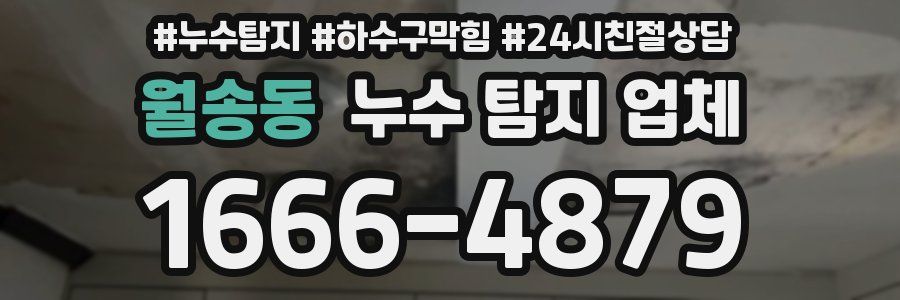 월송동 누수 탐지 업체