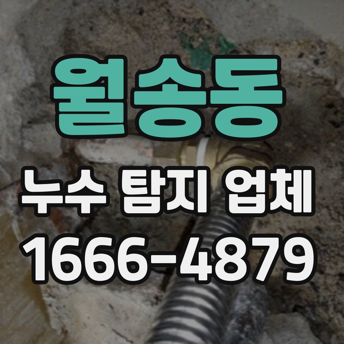 월송동 누수 탐지 업체