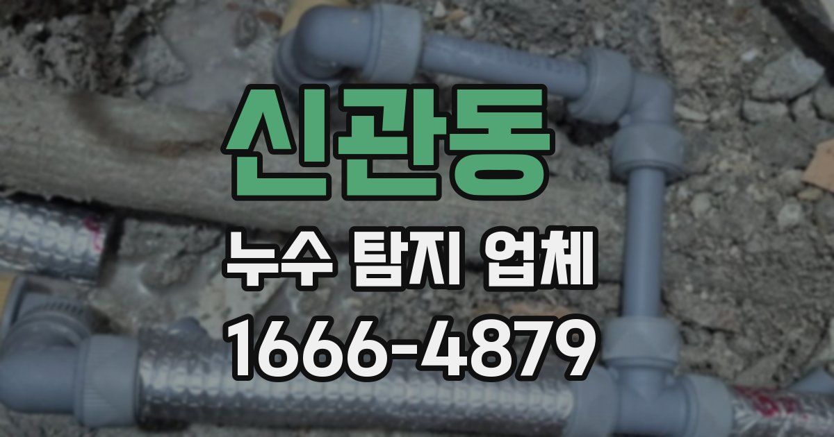 신관동 누수 탐지 업체
