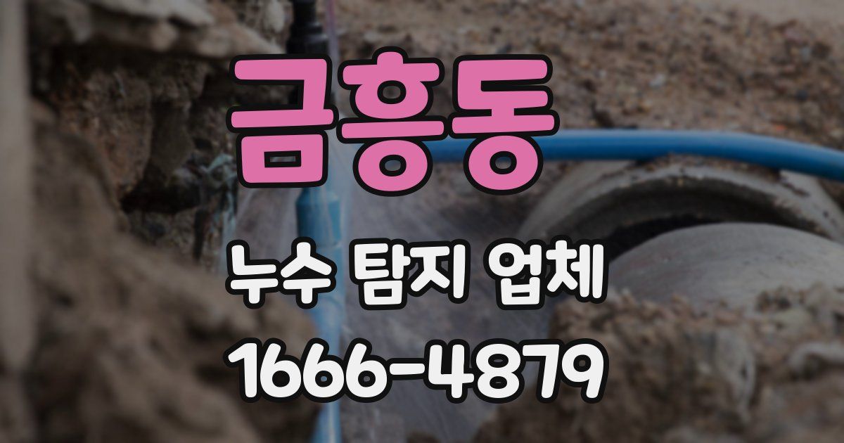 금흥동 누수 탐지 업체