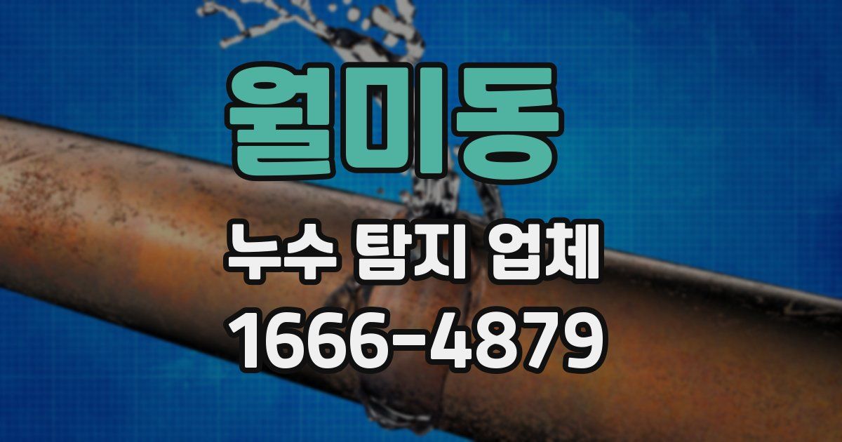 월미동 누수 탐지 업체