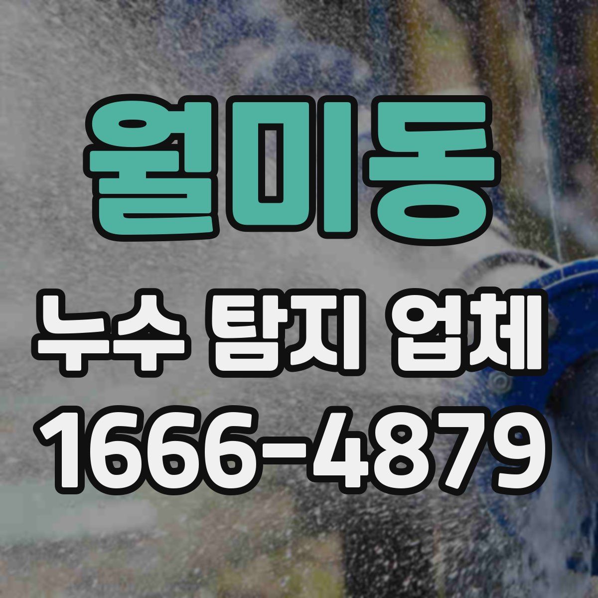 월미동 누수 탐지 업체