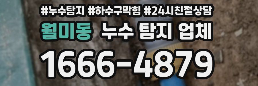 월미동 누수 탐지 업체