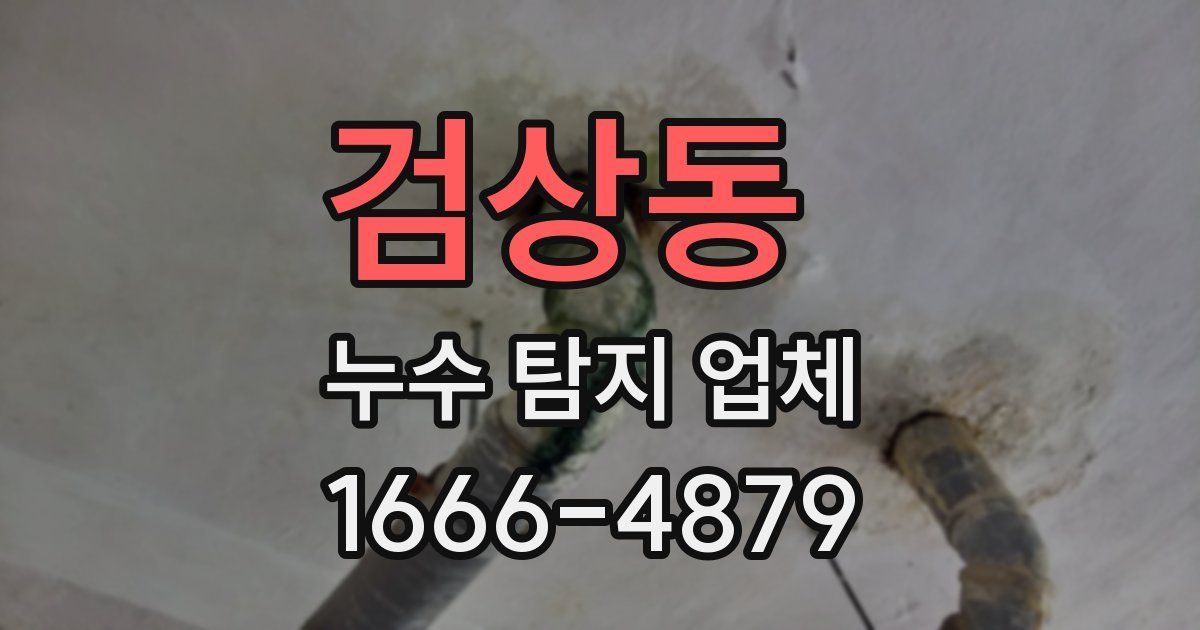 검상동 누수 탐지 업체