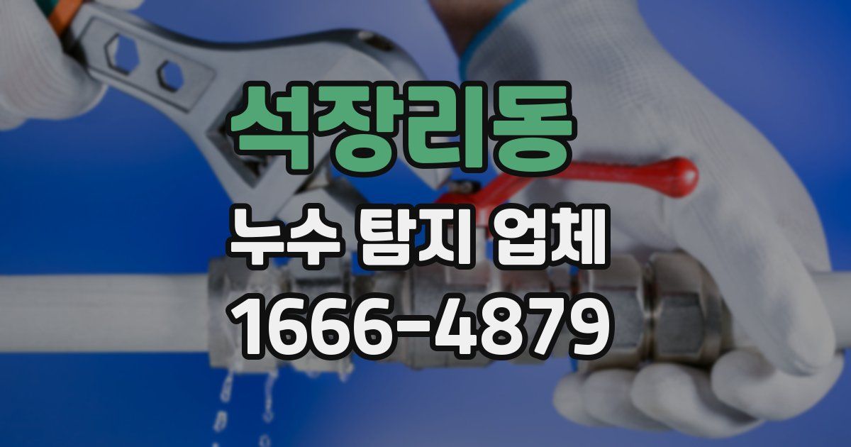 석장리동 누수 탐지 업체